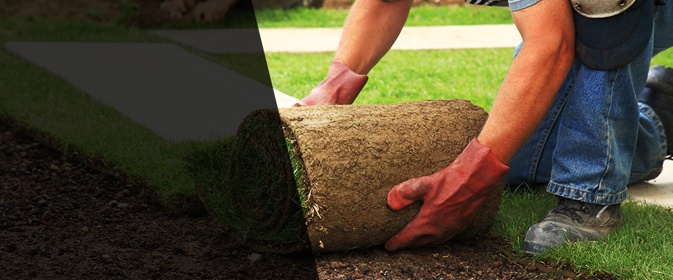 Rose Hill Landscapers